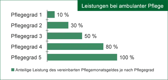 Leistungen bei ambulanter Pflege Übersicht