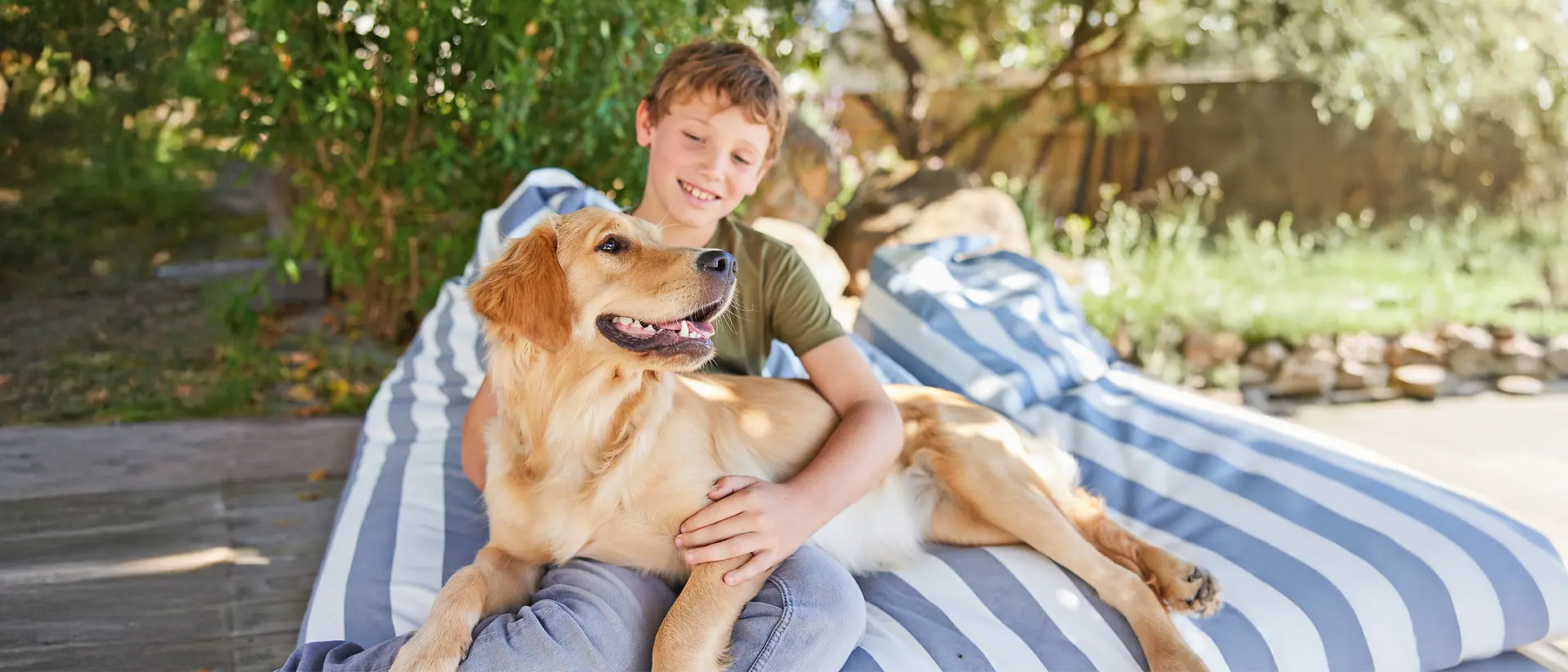 HanseMerkur Tier-Krankenversicherung: Schutz für Hund & Katze – Leistungen, Kosten & Ablauf