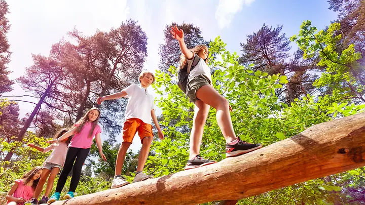 Kinder spielen im Wald