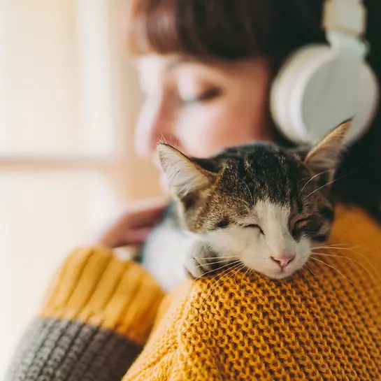 Wie alt werden Katzen? Katze schläft auf dem Arm