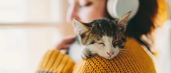 Wie alt werden Katzen? Katze schläft auf dem Arm