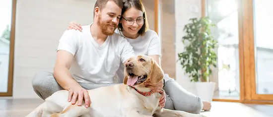 Hundekrankenversicherung ohne Wartezeit - Pärchen mit Hund