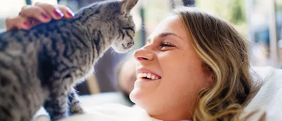 Katzenversicherung ohne Wartezeit - lachende Frau mit Katze Europäisch Kurzhaar