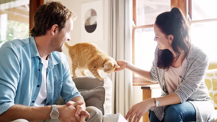 Katzenversicherung sinnvoll