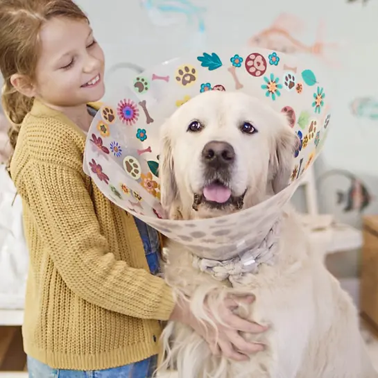 Tierversicherung - TV-Spot