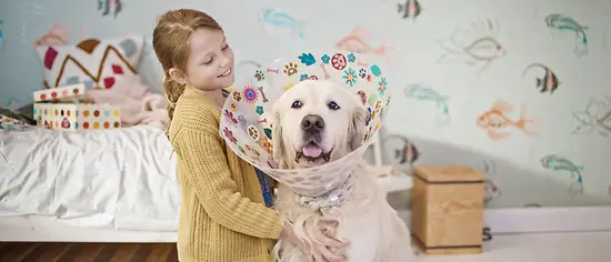 Kind spielt mit dem Hund - Tierversicherung