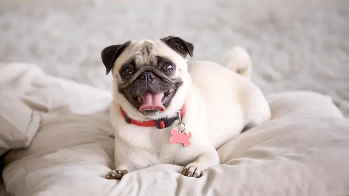 IST_1362904298_preview