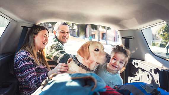 Hundeschule So finden Sie die passende Hundeschule HanseMerkur