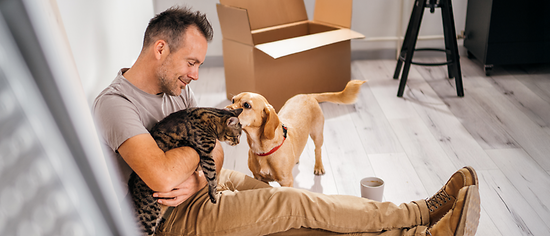 HanseMerkur ServiceApp - Mann, Hund, Katze