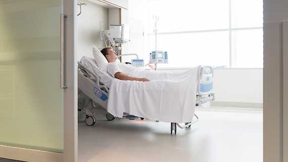 Market Chameleon visual data 6