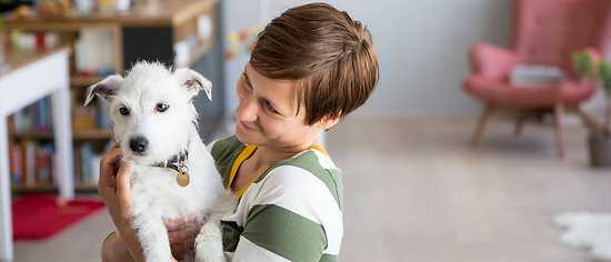 Hundehaftpflichtversicherung