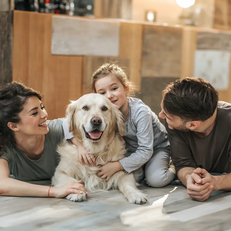 OP Versicherung für Hunde