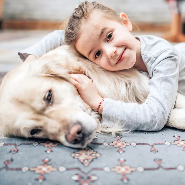 Hundeversicherung - Kind