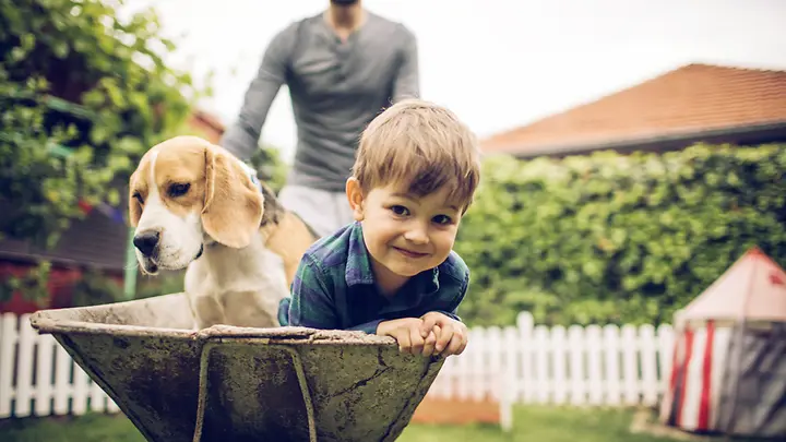 Hund und Kind